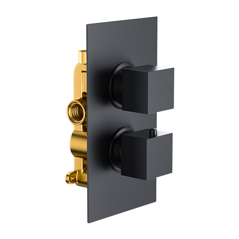 Bedgebury Square Single Outlet - Two Controls - Concealed Thermostatic Valve - Matt Black