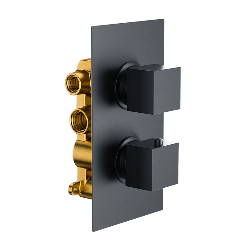Bedgebury Square Double Outlet - Two Controls - Concealed Thermostatic Valve - Matt Black