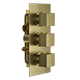 Bedgebury Square Double Outlet - Three Controls - Concealed Thermostatic Valve - Brushed Brass