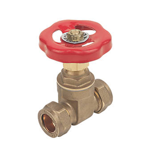 22mm Brass Gate Valve C x C