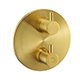 Levo Concealed Round Thermostatic Shower Valve - Brushed Gold