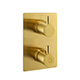 Levo Concealed Square Thermostatic Shower Valve - Brushed Gold