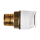 PolyFit 22mm x 3/4inch Male BSPT Adaptor Brass Body. Pack of 5