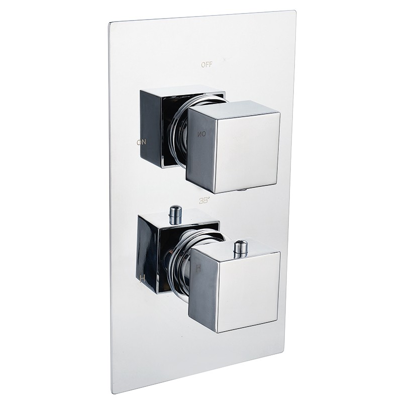 Ebony Square Twin Thermostatic Shower Valve - 2 Outlets