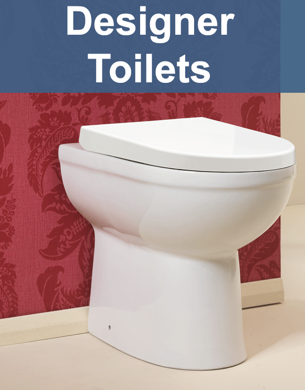 Modern and Traditional Toilets